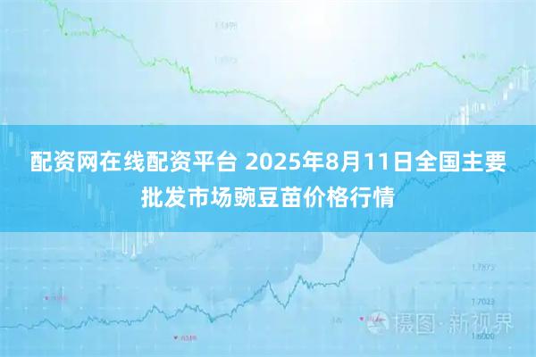 配资网在线配资平台 2025年8月11日全国主要批发市场豌豆苗价格行情