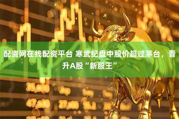 配资网在线配资平台 寒武纪盘中股价超过茅台，晋升A股“新股王”