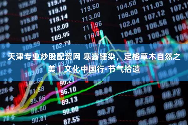 天津专业炒股配资网 寒露锤染，定格草木自然之美丨文化中国行·节气拾遗