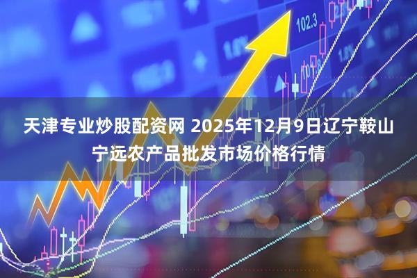 天津专业炒股配资网 2025年12月9日辽宁鞍山宁远农产品批发市场价格行情