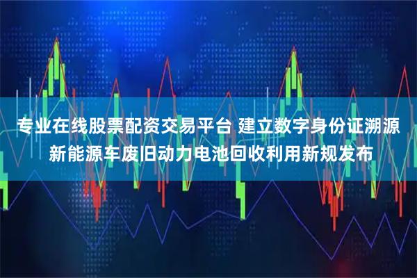 专业在线股票配资交易平台 建立数字身份证溯源 新能源车废旧动力电池回收利用新规发布