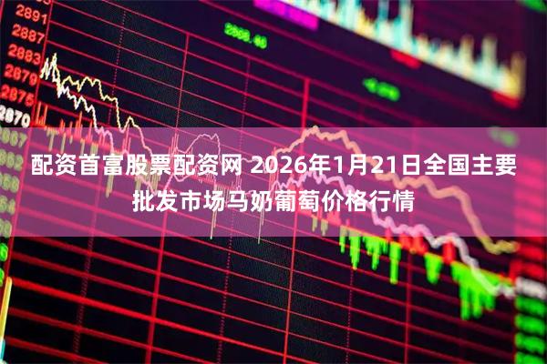 配资首富股票配资网 2026年1月21日全国主要批发市场马奶葡萄价格行情