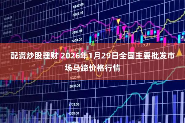 配资炒股理财 2026年1月29日全国主要批发市场马蹄价格行情