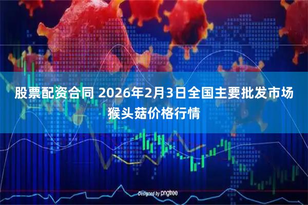 股票配资合同 2026年2月3日全国主要批发市场猴头菇价格行情