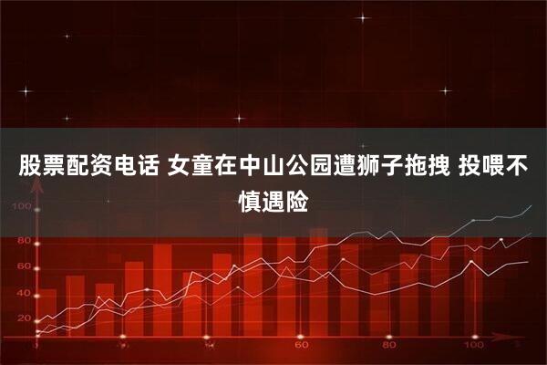 股票配资电话 女童在中山公园遭狮子拖拽 投喂不慎遇险
