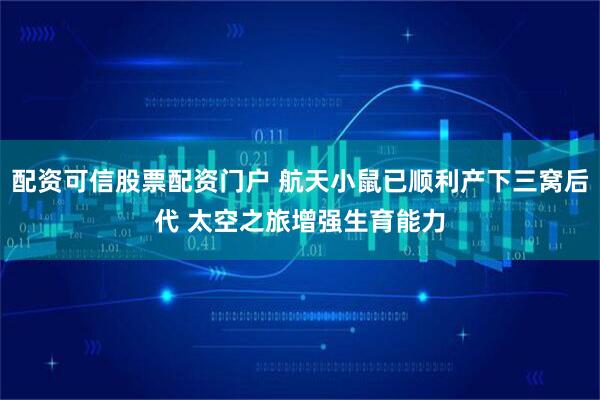 配资可信股票配资门户 航天小鼠已顺利产下三窝后代 太空之旅增强生育能力