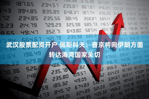武汉股票配资开户 佩斯科夫：普京将向伊朗方面转达海湾国家关切